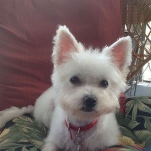 Meet your Posher, Marilyn